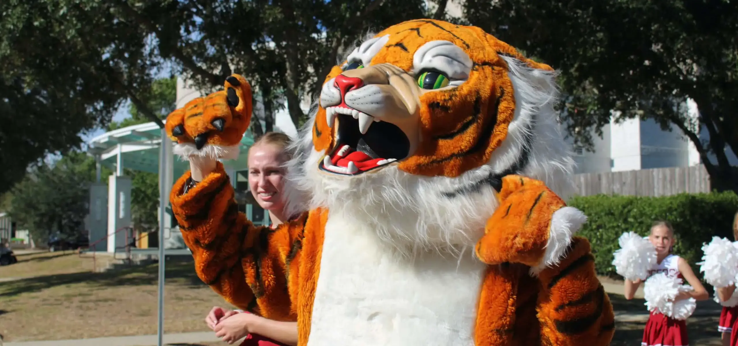 Dunham Tiger Mascot marching with cheerleaders at the homecoming parade