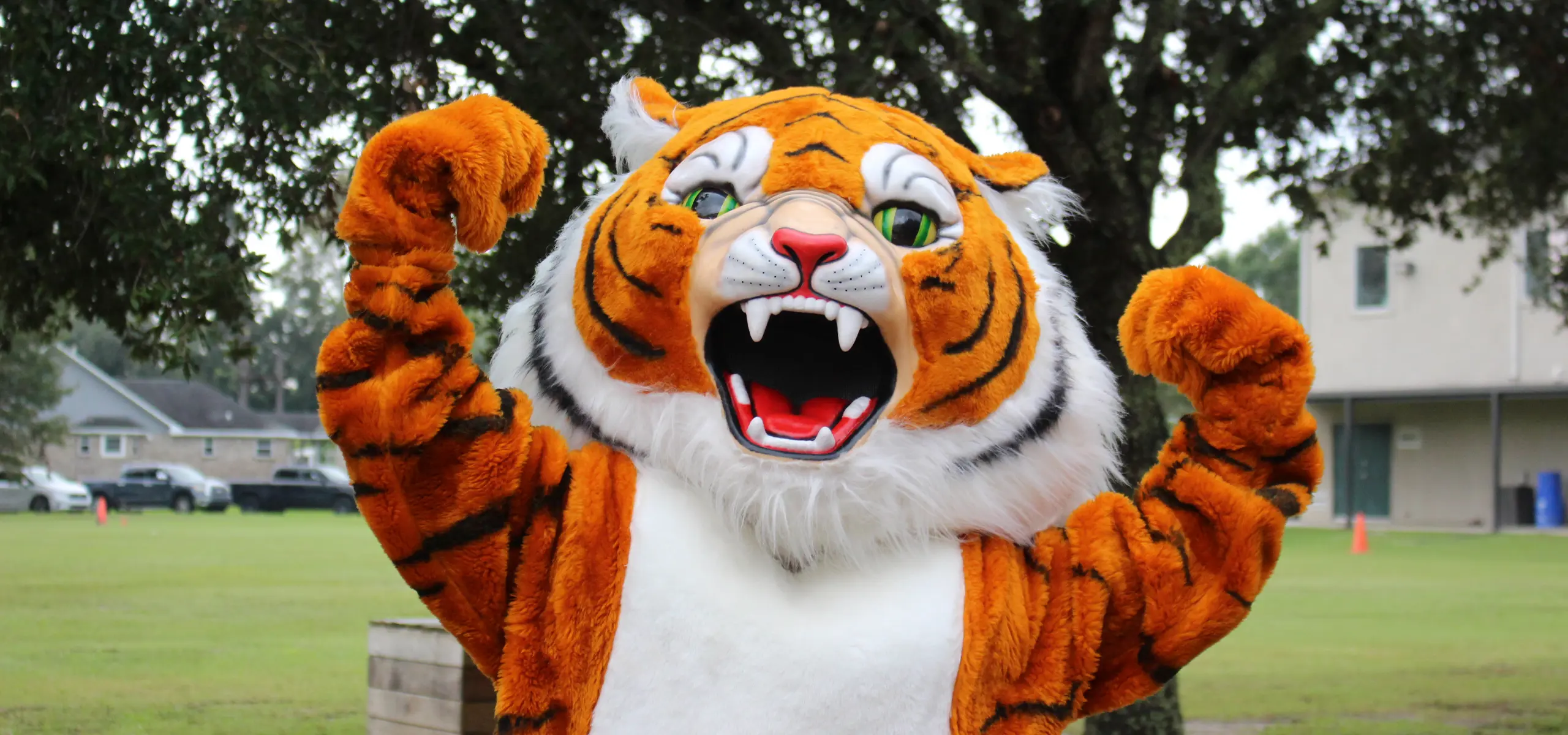 Dunham tiger mascot flexing his arms during parade.